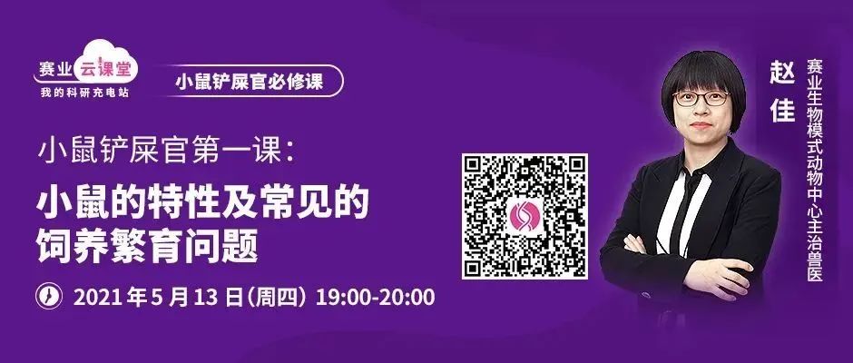 小鼠快速繁育七折起