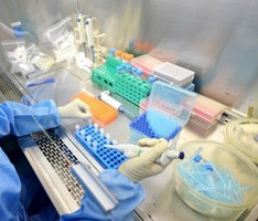 活-死细胞染色试剂盒Live-Dead Cell Staining Kit（K501-100）操作步骤