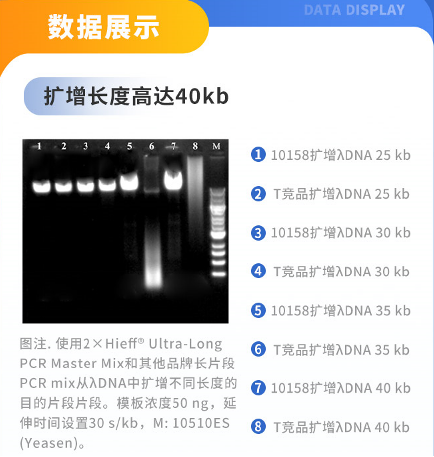 涨知识！PCR产品选择，你了解多少？