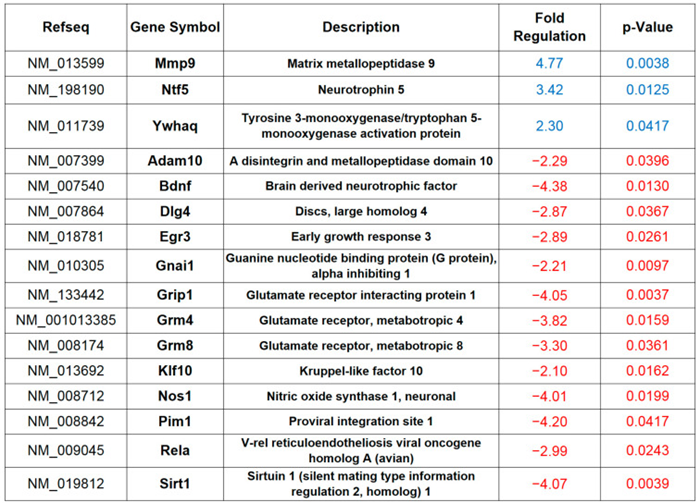 神经干细胞衍生的外泌体通过CREB-BDNF信号恢复高脂饮食诱导的记忆障碍