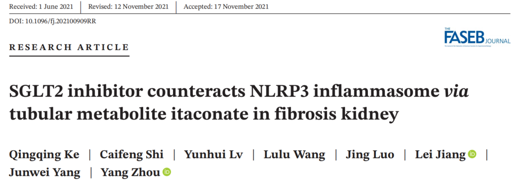 客户案例 | SGLT2抑制剂通过肾纤维化小管中衣康酸抑制NLRP3炎症体