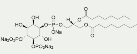 [干冰]PI(4,5)P2 diC8，满足不同实验需求，价格实惠！