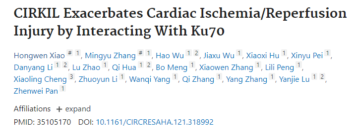 哈尔滨医科大学潘振伟团队发现治疗心脏缺血/再灌注损伤的新靶点