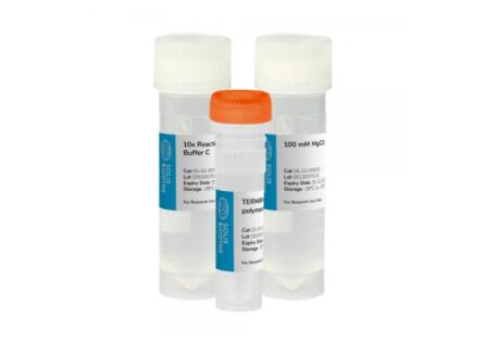 艾美捷TERMIPol DNA聚合酶——热稳定性 DNA 聚合酶 艾美捷TERMIPol DNA聚合酶——热稳定性 DNA 聚合酶