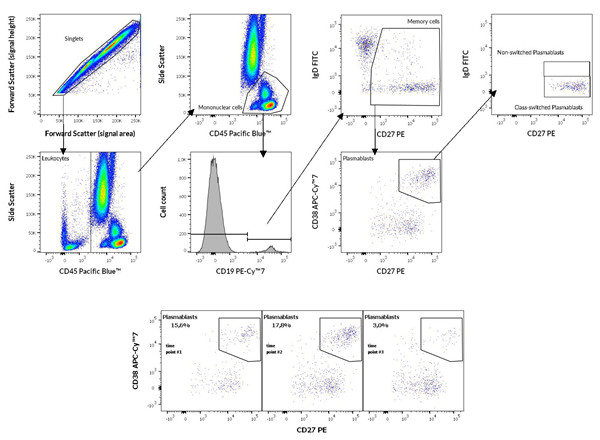 DryFlowEx ASC Screen Kit结果分析