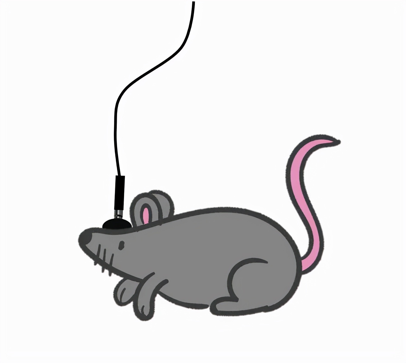 如何选对光纤记录实验的耗材配件，达到最大效率的信号传输？