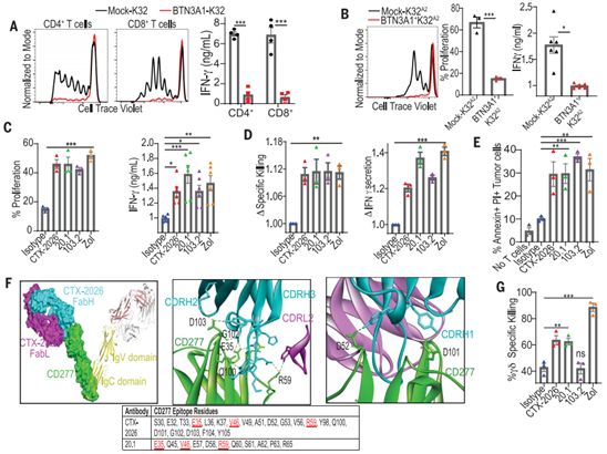 BTN3A1和BTN2A1合作激活外周血中最丰富的γδT细胞亚群