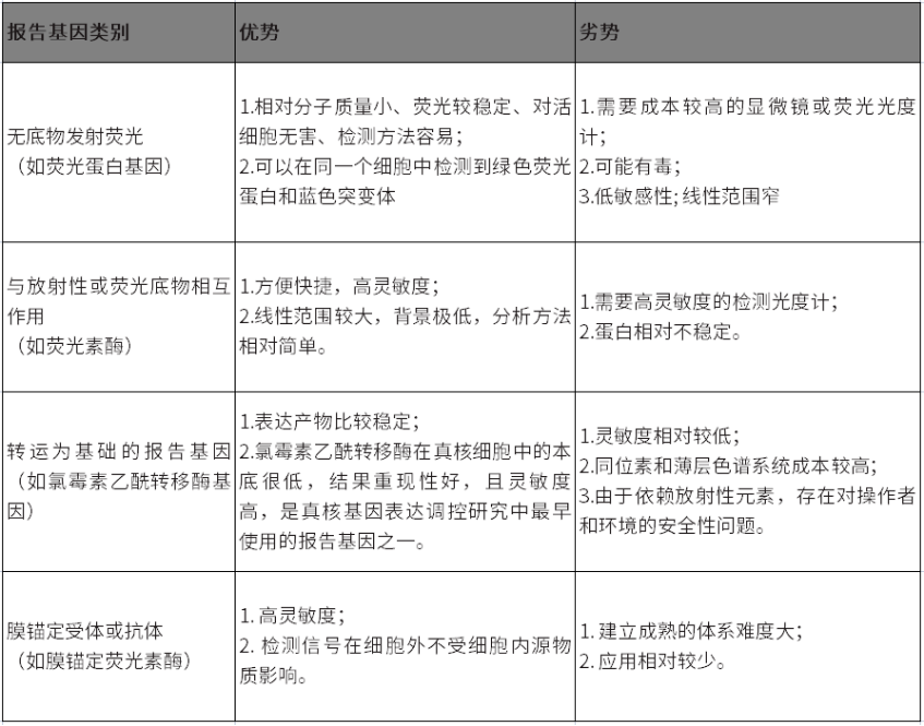 常用报告基因有哪些种类？一文读懂！