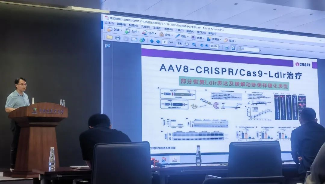 聚焦动物模型的构建与应用，共享行业前沿资讯