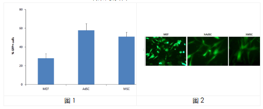 中英文说明书丨艾美捷 RmesFect茎转染试剂