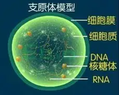 新闻图片2