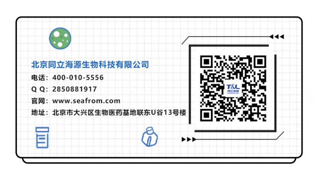 2024首波促销「买赠&满赠&转发礼」福利拉满~