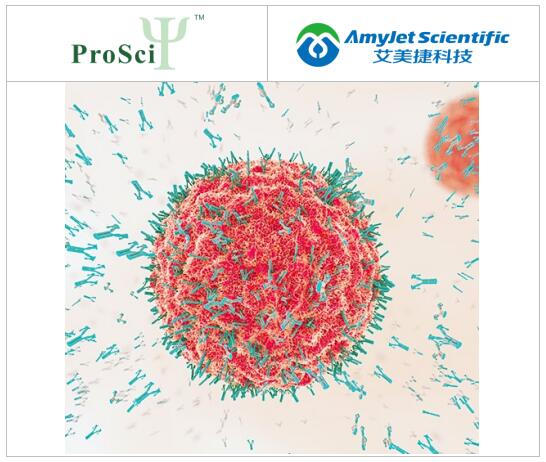 ProSci针对离子通道和GPCR家族成员等跨膜靶标抗体方案