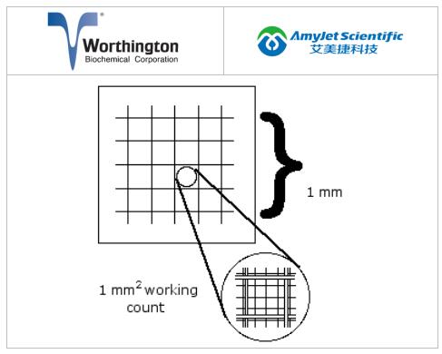 worthington细胞分离技术之worthington细胞定量优化 worthington细胞分离技术之worthington细胞定量优化