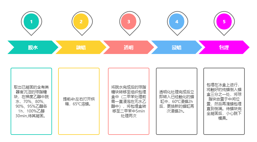 新闻图片22