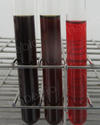 PALCAM肉汤培养基原理及现象(青岛海博生物原创)