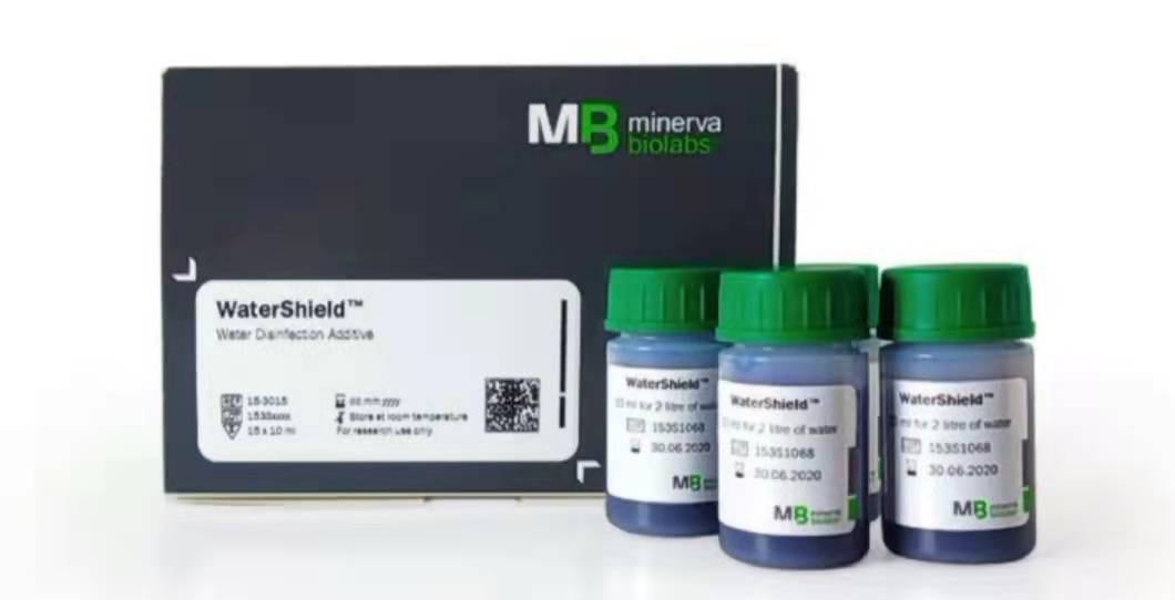 细胞培养之支原体祛除-水槽支原体祛除