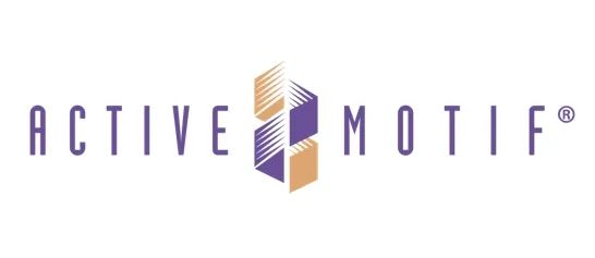 安诺伦代理品牌Active Motif——专注于表观遗传和基因调控领域