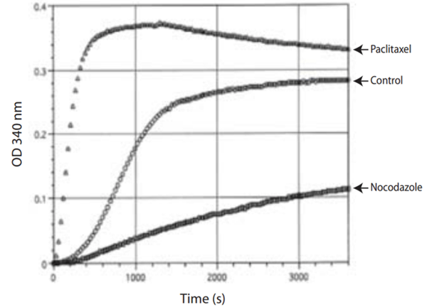 Cytoskeleton Tubulin产品线的超值大促 Cytoskeleton Tubulin产品线的超值大促