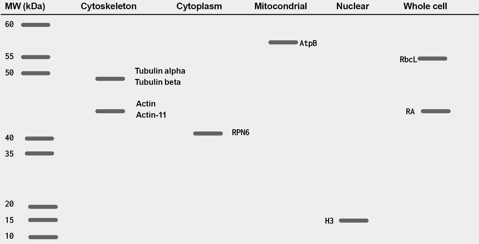 Loading controls for plant and algal samples