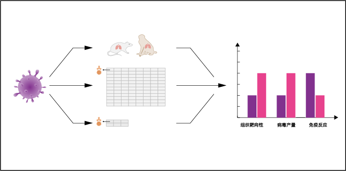 眼科与退行性疾病