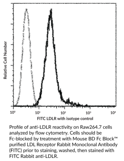 Cayman Chemical艾美捷LDL受体兔单克隆抗体（FITC）