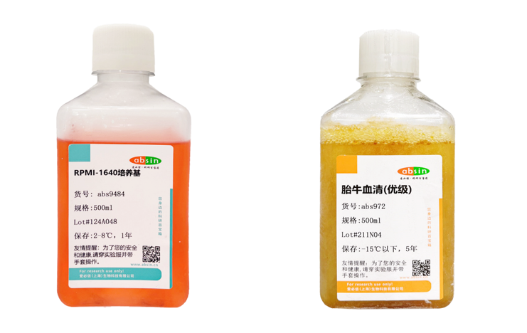 THP-1细胞培养攻略