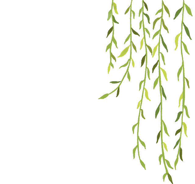 图片16.png 图片16.png