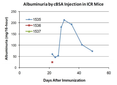 Chondrex阳离子牛血清白蛋白(cBSA)促销啦 Chondrex阳离子牛血清白蛋白(cBSA)促销啦