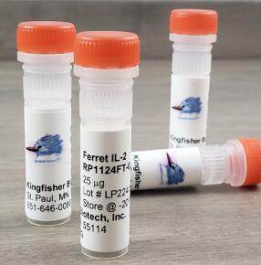 艾美捷抗美洲驼泛B细胞单克隆抗体化学性质说明