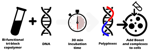 新型CHAMP技术丨艾美捷Helix-IN DNA转染试剂方案