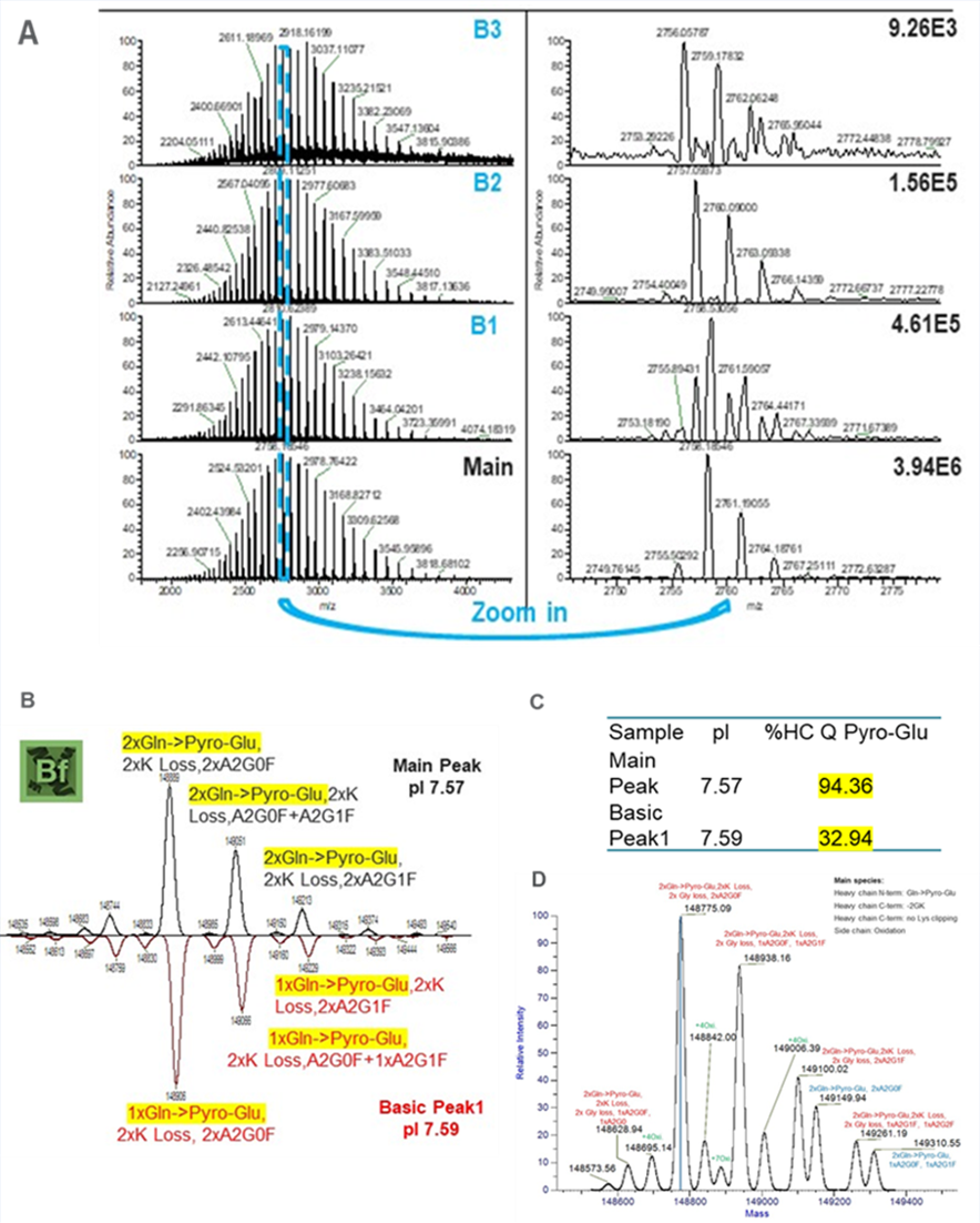 基于尖端的全柱成像等电毛细管电泳