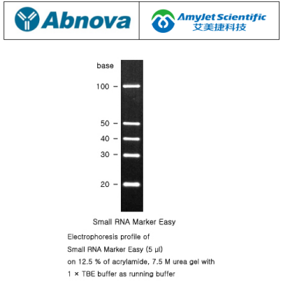 Abnova艾美捷小 RNA 标记Easy说明书 Abnova艾美捷小 RNA 标记Easy说明书