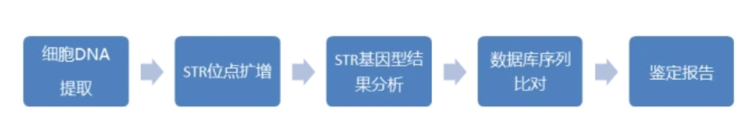 警惕！细胞系的交叉污染可能是毁掉你实验的元凶