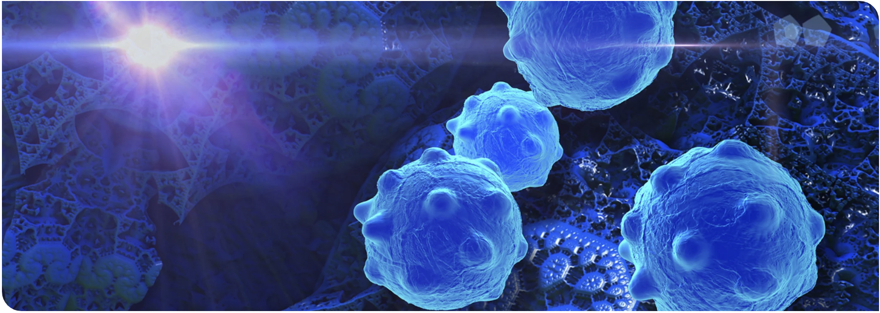 通过体内模型对抗癌症耐药性（PDD）