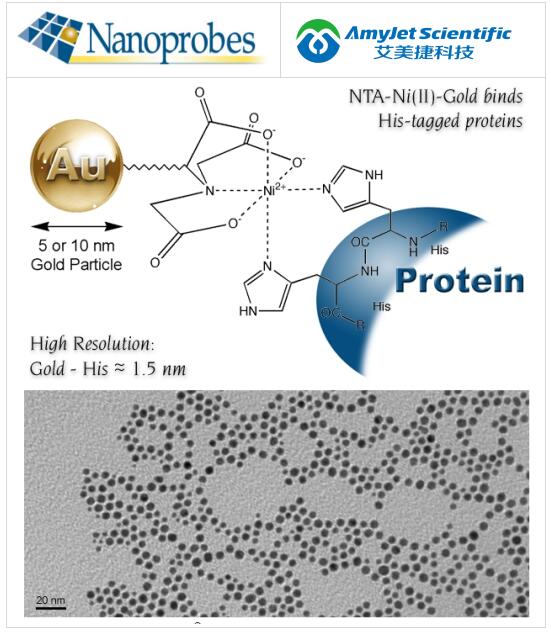 Nanoprobes Ni-NTA-Nanogold——用于 His 标签标记和检测 Nanoprobes Ni-NTA-Nanogold——用于 His 标签标记和检测