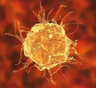 流式课堂 | 巨噬细胞简介及指标选择