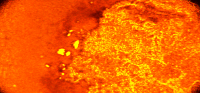 Hypoxyprobe 缺氧探针--RedPE促销中 Hypoxyprobe 缺氧探针--RedPE促销中