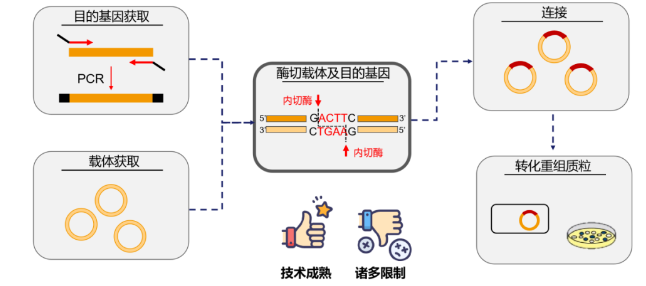 涨知识 | 克隆专题一：不同分子克隆方法介绍（上）