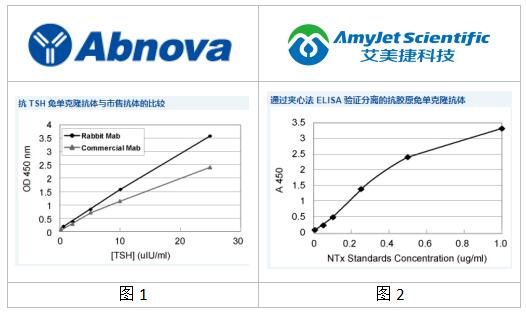 Abnova丨Abnova 定制兔单克隆抗体开发工作流程 Abnova丨Abnova 定制兔单克隆抗体开发工作流程