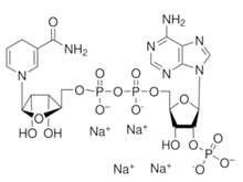 absin常用生化试剂-辅酶类