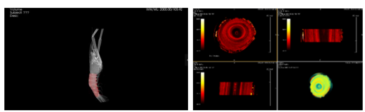 小动物成像检测有哪些?可以对应哪些指标?