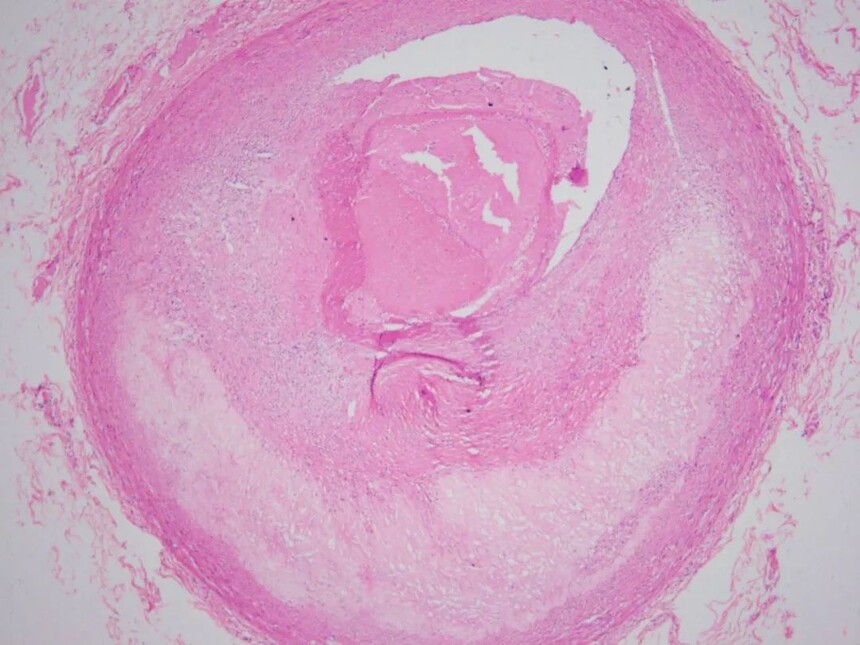 1693384527485639.jpg 1693384527485639.jpg