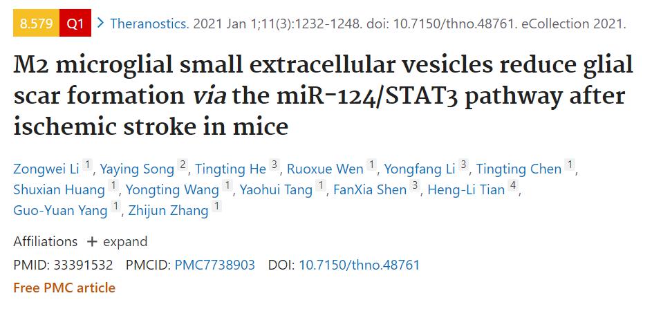 缺血性卒中小鼠M2小胶质细胞来源细胞外囊泡通过miR124/STAT3减少胶质瘢痕形成