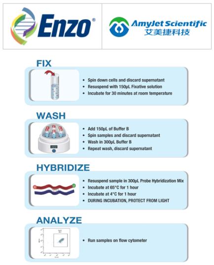 Enzo Life Sciences艾美捷HPV E6/E7 检测试剂盒说明书 Enzo Life Sciences艾美捷HPV E6/E7 检测试剂盒说明书