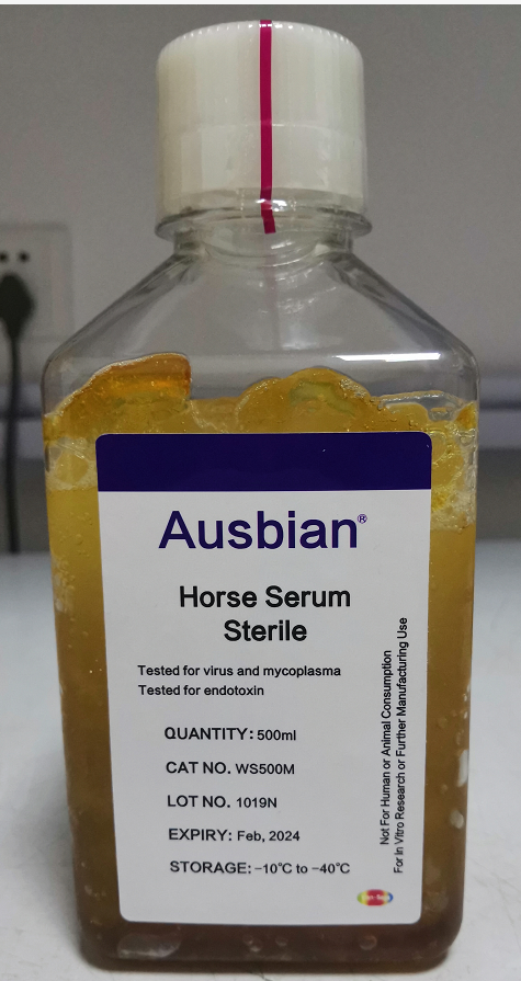 马血清在细胞生物学中的应用