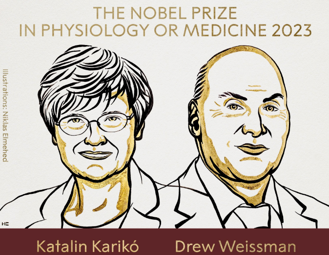 这只小鼠的含金量，抵得上数十次诺奖