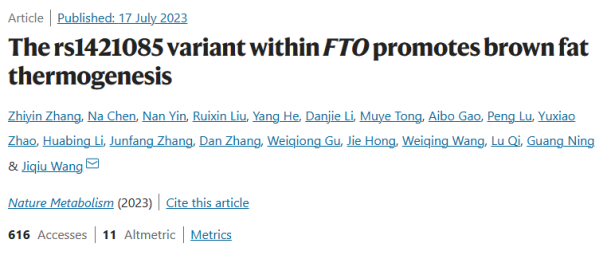 瑞金医院王计秋团队揭示FTO基因变异rs1421085调控棕色脂肪组织产热和肥胖