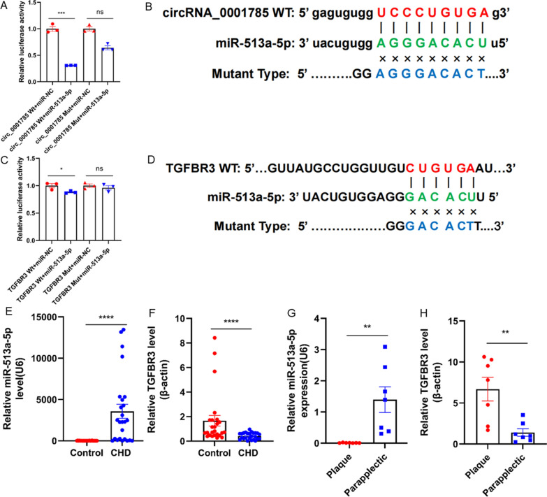 外泌体技术服务