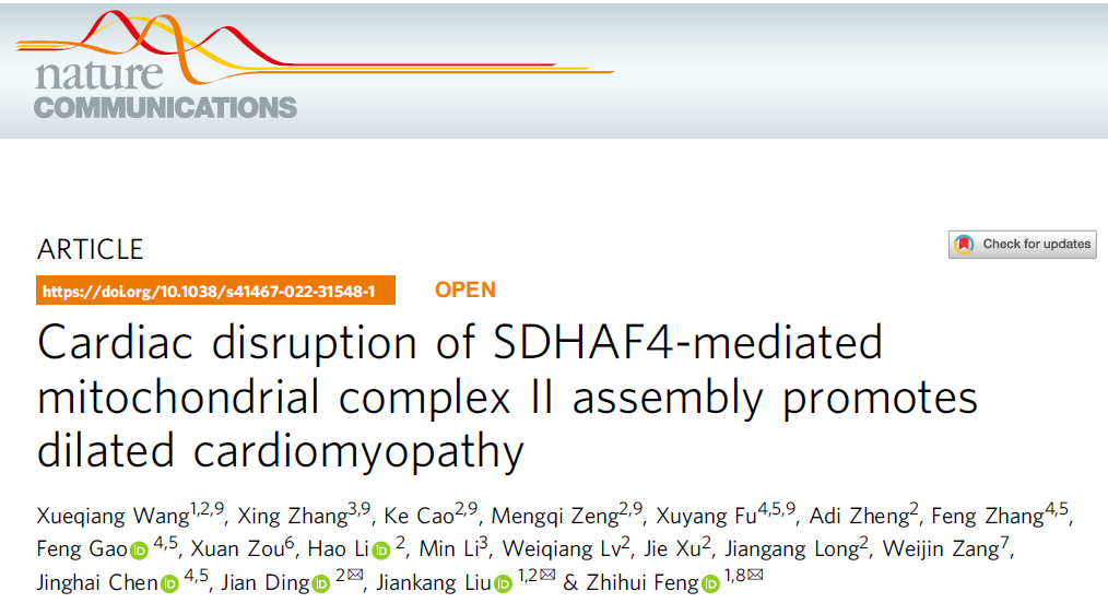 客户案例 | NC：线粒体复合体Ⅱ组装在扩张型心肌病发生中的重要机制